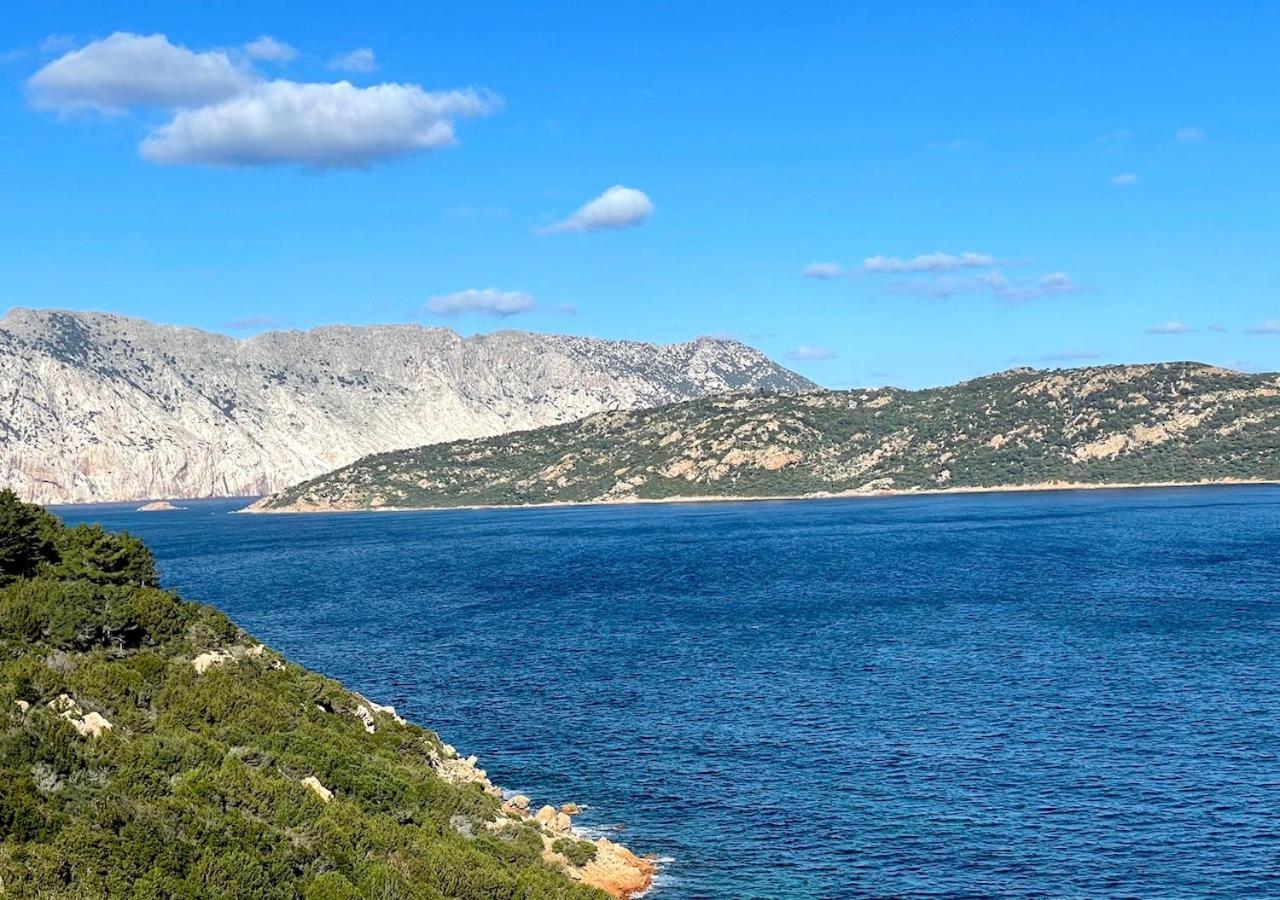San Teodoro Punta Est Delizioso Monolocale Vista Mare Apartment Luaran gambar