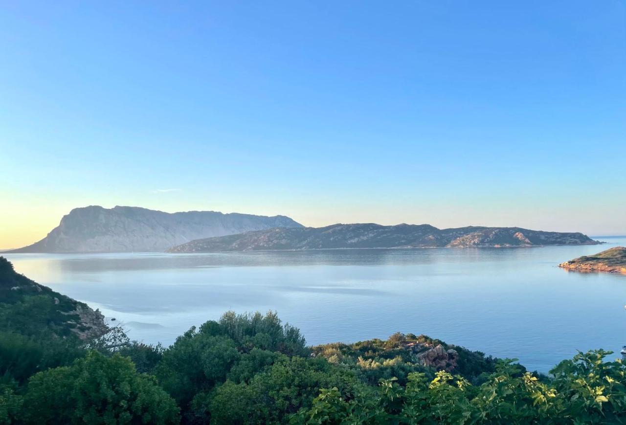San Teodoro Punta Est Delizioso Monolocale Vista Mare Apartment Luaran gambar