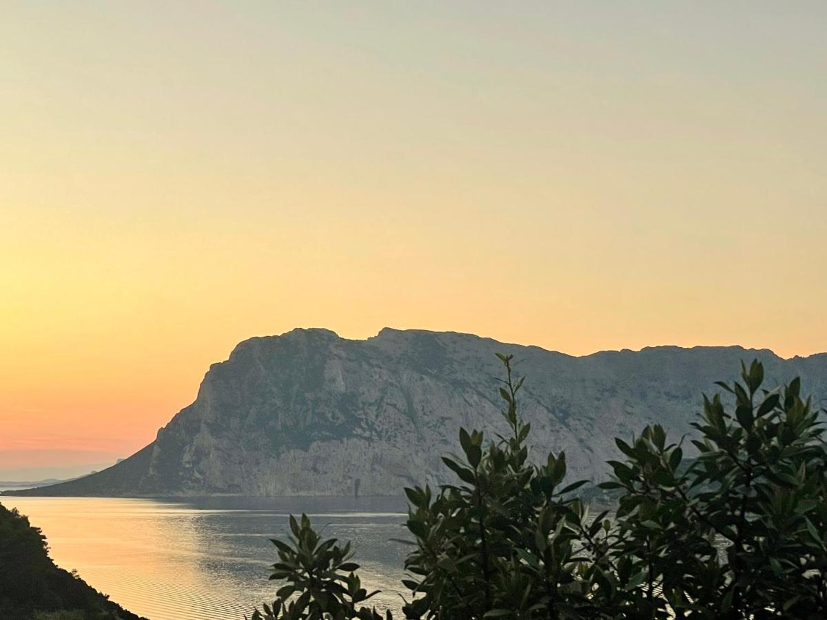 San Teodoro Punta Est Delizioso Monolocale Vista Mare Apartment Luaran gambar