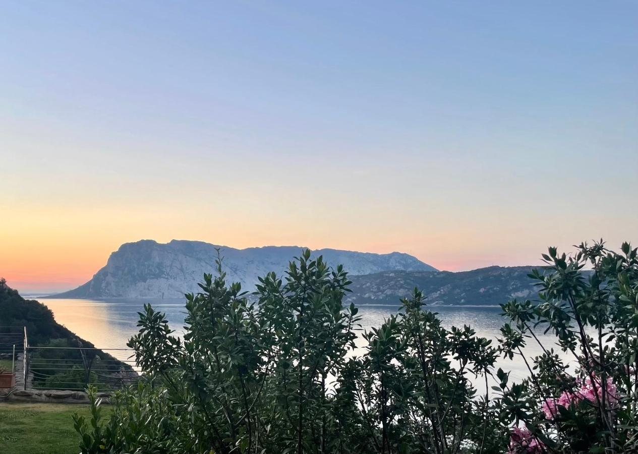 San Teodoro Punta Est Delizioso Monolocale Vista Mare Apartment Luaran gambar