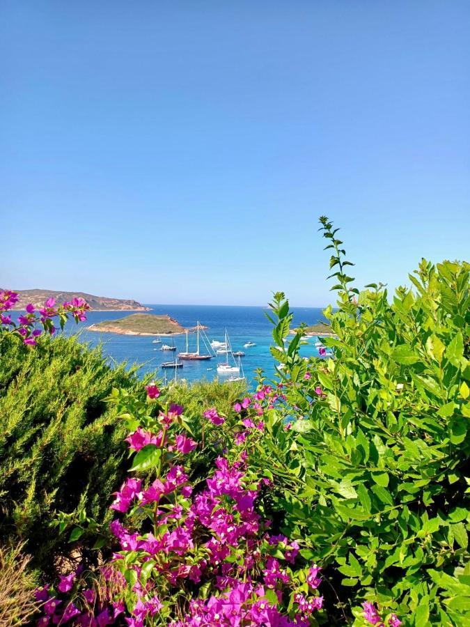 San Teodoro Punta Est Delizioso Monolocale Vista Mare Apartment Luaran gambar